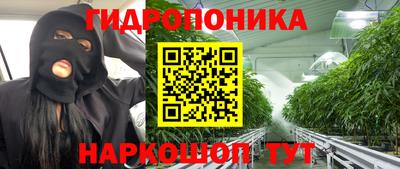 эйфоретик Дмитров