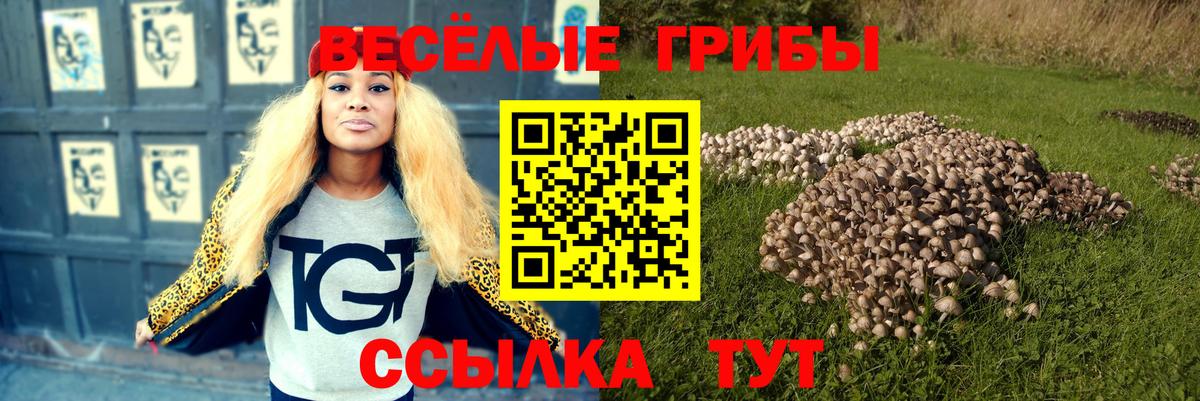 Воронеж  Галлюциногенные грибы прущие грибы  Вход с VPN 